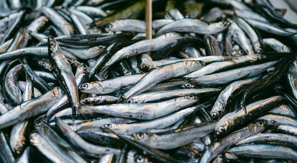 Récupérer sa vie sociale malgré la douleur chronique